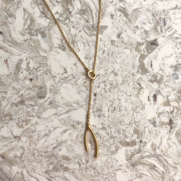 Madewell wishbone necklace